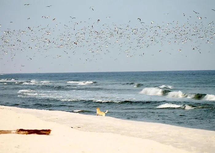 White Pearl 2.04 Apartamento *